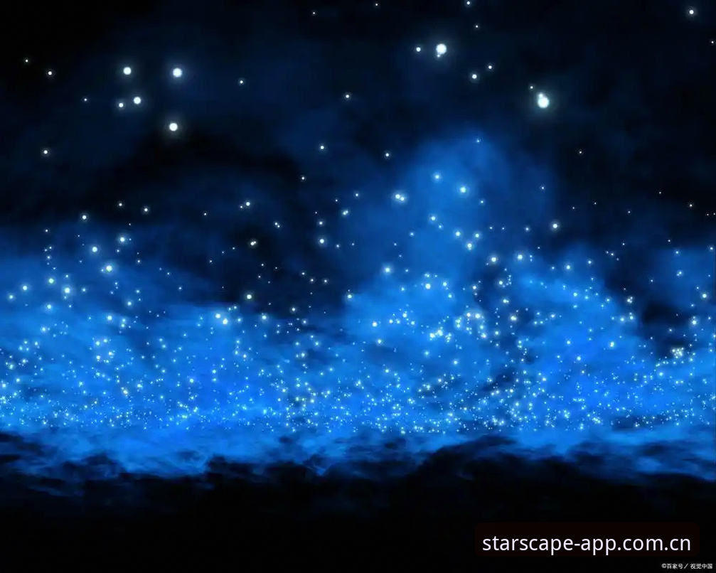 星空中国官网入口 别踩坑!星空中国官网入口的实用避雷指南